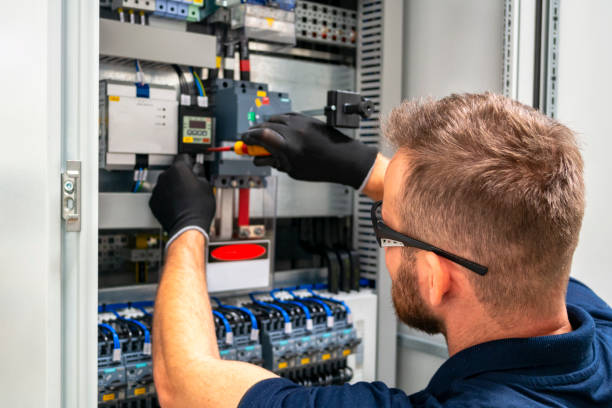Best Ceiling Fan Installation Electrician  in Hoyt Lakes, MN