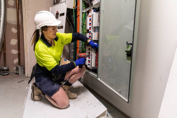 Best Electric Panel Repair  in Hoyt Lakes, MN